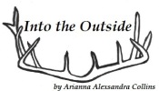 Into the Ouside logo