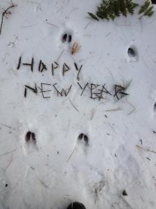 Happy New Year 2016 sticksandsnow by Arianna