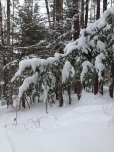 Valentines Weekend Storm (6)