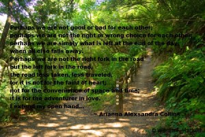 The Left Path a poem by Arianna Alexsandra Collins