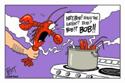 How's the water, Bob?