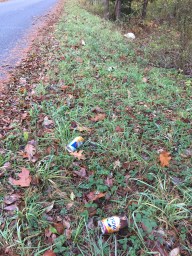 Beer cans along the road