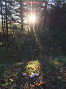 beer cans along the road