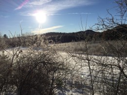 Morning winter sun upon the field and wetland