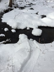 Otter Slide photo credit by Arianna Alexsandra Collins