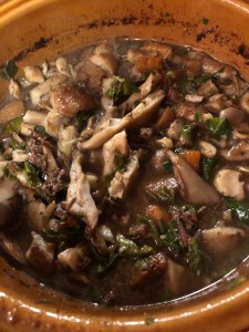 Oyster Mushroom, garden veggie with roadkill moose meat stew