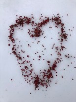 Staghorn sumac berries