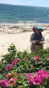 Arianna at the Ocean collecting Rugosa Rose