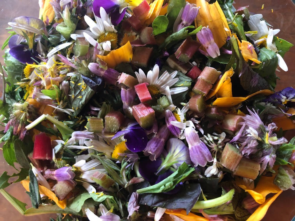 Wild edibles June salad 