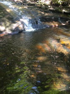 Chapel Falls Ashfield MA