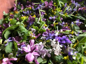 A May Flower Power Salad with baby Mugwort and Lilac, Violet & Winter Bittercress flowers