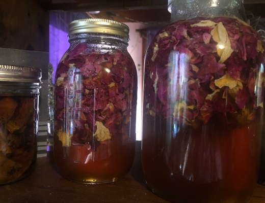 Roses soaking in honey