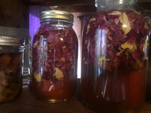 Roses soaking in honey