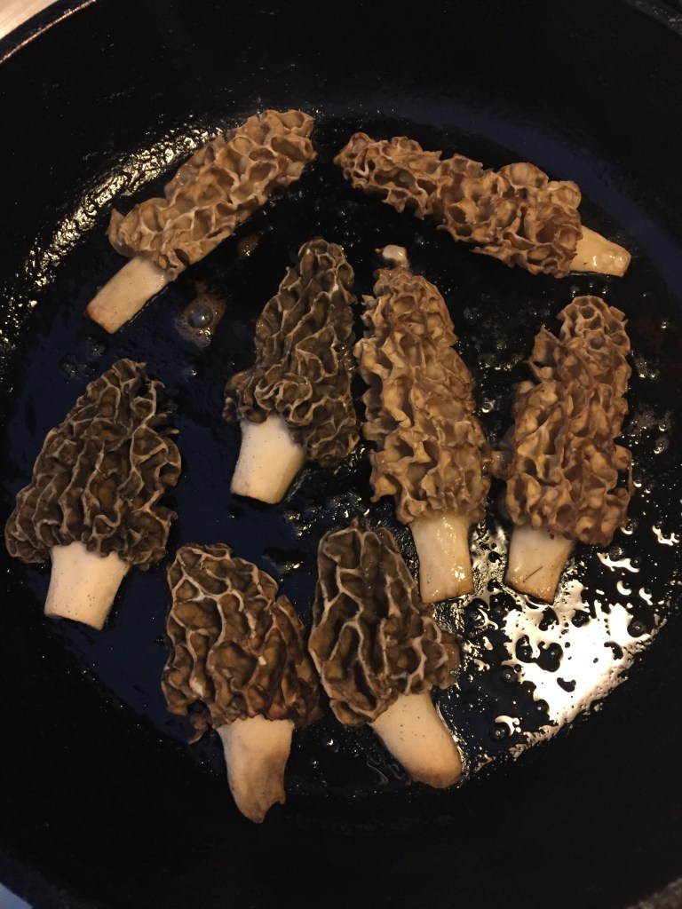 Cook your morels